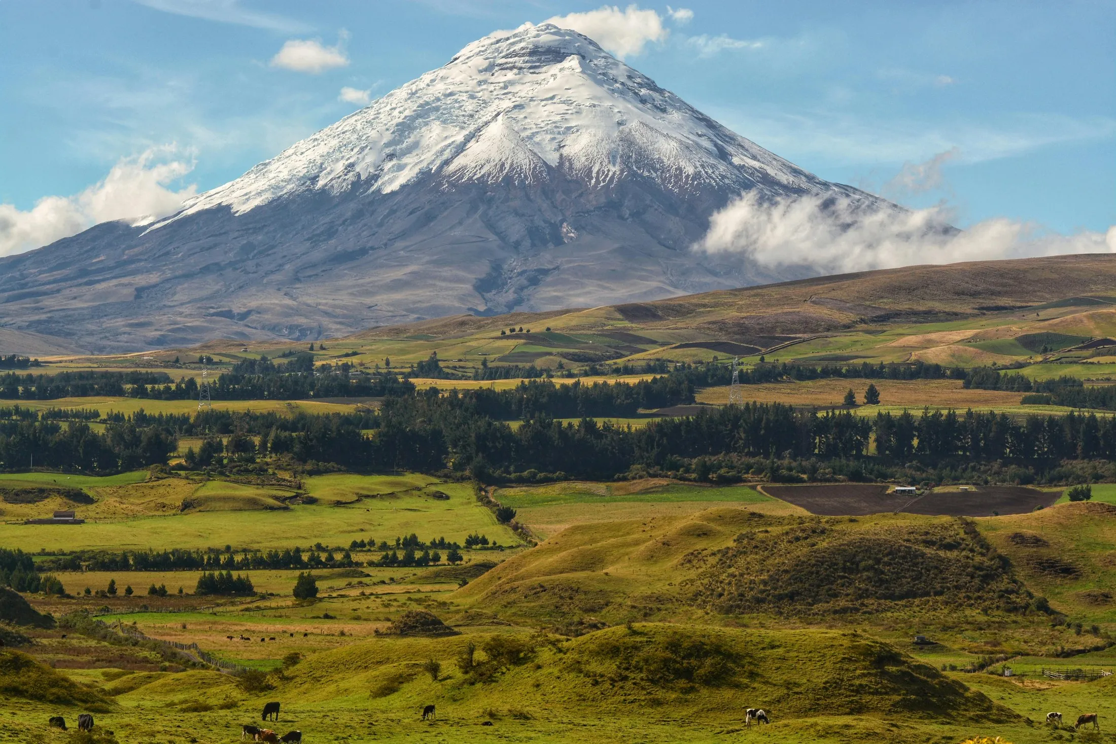The snow-capped Cotopaxi volcano in the Ecuadorian Andes